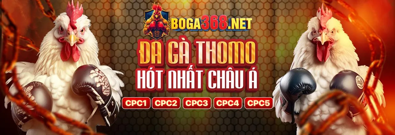 Đá Gà Trực Tuyến Hấp Dẫn tại vvwin chính thức